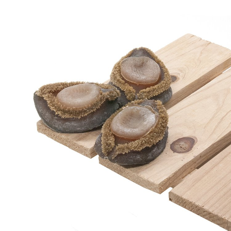 特級生曬野生南非網鮑10-12頭