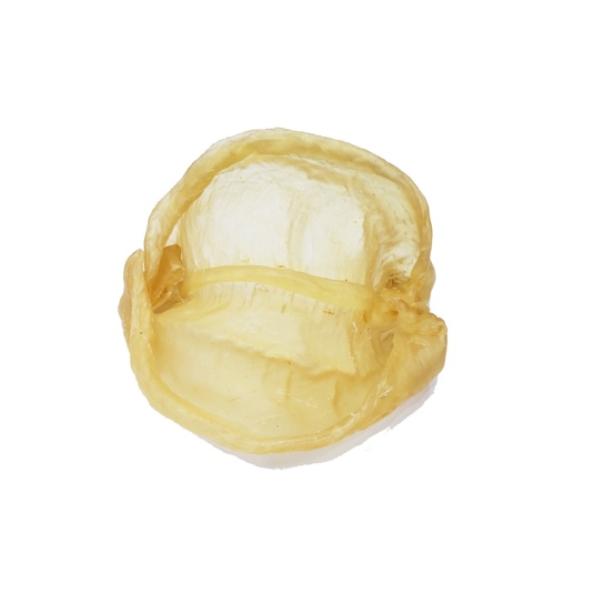 非洲花膠片(7-9頭)